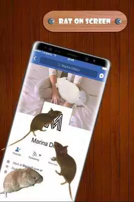 Play Mouse on Screen Prank