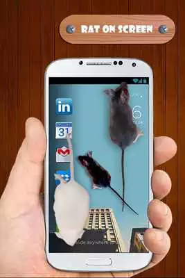 Play Mouse on Screen Prank