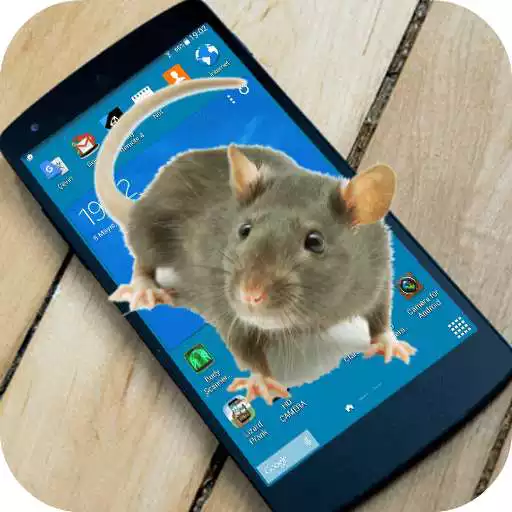 Free play online Mouse on screen scary joke APK