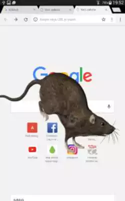 Play Mouse on screen scary joke Play Mouse on screen scary joke