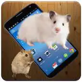 Free play online Mouse On Screen Scary Prank APK Free play online Mouse On Screen Scary Prank APK