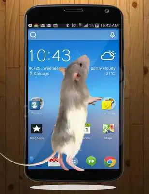 Play Mouse On Screen Scary Prank