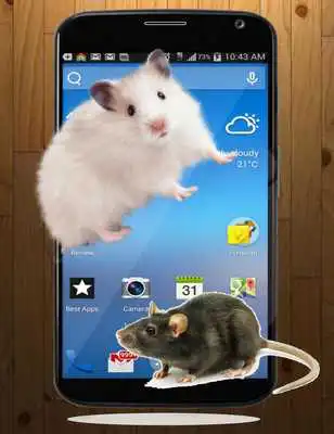 Play Mouse On Screen Scary Prank