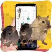 Free play online Mouse on Screen whos scream APK Free play online Mouse on Screen whos scream APK