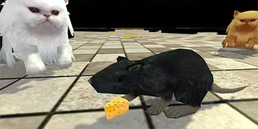 Play Mouse Simulator Casual - Cat Mouse Game  and enjoy Mouse Simulator Casual - Cat Mouse Game with UptoPlay