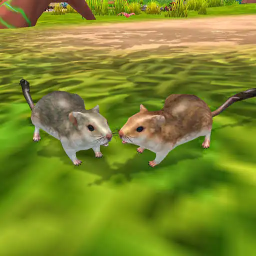 Play Mouse Simulator: Rat Wild Life APK Play Mouse Simulator: Rat Wild Life APK