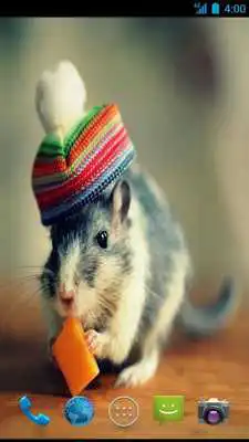 Play Mouse Wallpapers