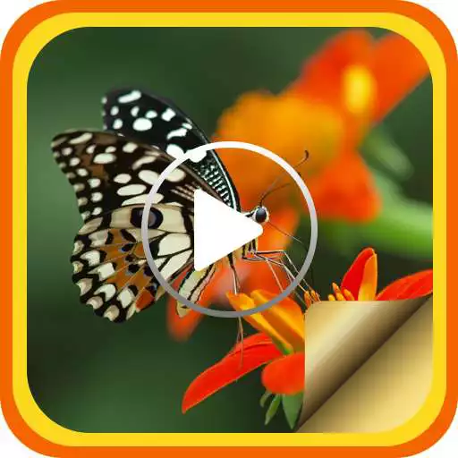 Free play online Movie Maker - Slideshow Maker APK Free play online Movie Maker - Slideshow Maker APK