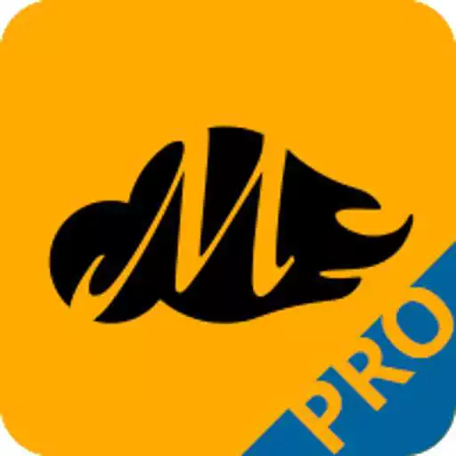 Play Movilizer Pro APK