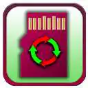 Free play online Moving Apps To Memory Card PRO  APK
