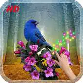 Free play online Moving Bird Live Wallpaper APK Free play online Moving Bird Live Wallpaper APK