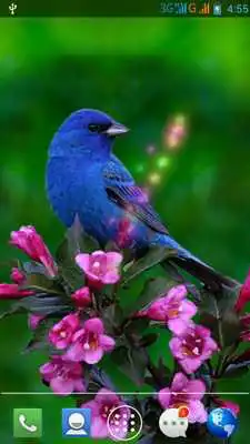 Play Moving Bird Live Wallpaper