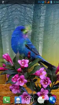 Play Moving Bird Live Wallpaper