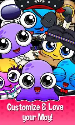 Play Moy 5