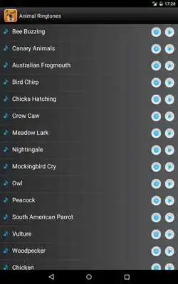 Play MP3 Animal Ringtones