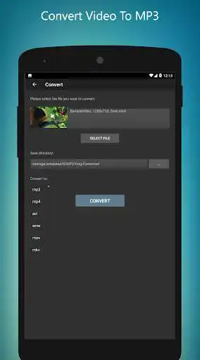 Play Mp3 King as an online game Mp3 King with UptoPlay
