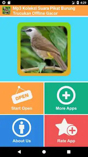 Play APK Mp3 Koleksi Suara Pikat Burung Trucukan Offline  and enjoy Mp3 Koleksi Suara Pikat Burung Trucukan Offline using ApkOnl