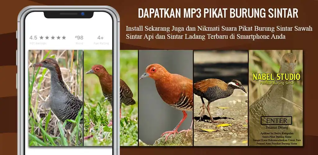 Play MP3 Pikat Burung Sintar  and enjoy MP3 Pikat Burung Sintar with UptoPlay