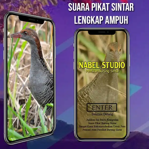 Play MP3 Pikat Burung Sintar as an online game MP3 Pikat Burung Sintar with UptoPlay