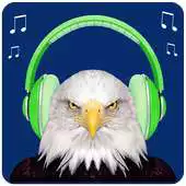 Free play online MP3 player with Egale Photos APK