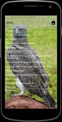 Play MP3 player with Egale Photos