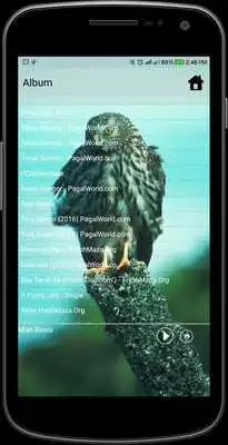 Play MP3 player with Egale Photos