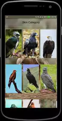 Play MP3 player with Egale Photos