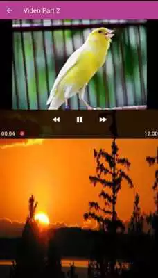 Play Mp3 Suara Kenari Play Mp3 Suara Kenari