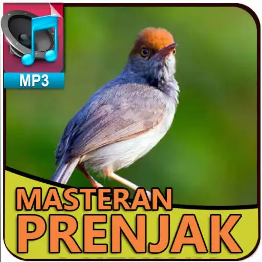Play Mp3 Suara Prenjak Burung Gacor APK Play Mp3 Suara Prenjak Burung Gacor APK