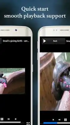 Play MP4 Video Players