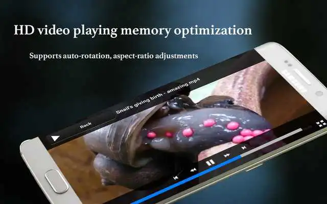 Play MP4 Video Players