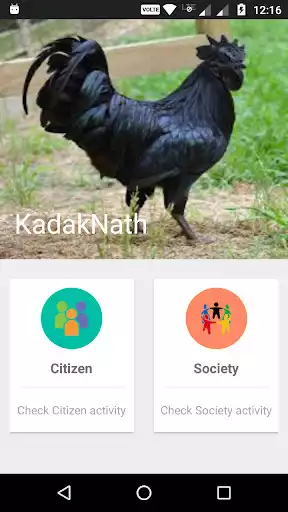 Play MP Kadaknath App
