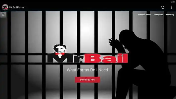 Play Mr. Bail Downloadable forms