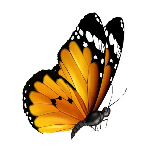 Play Mr.Butterfly APK