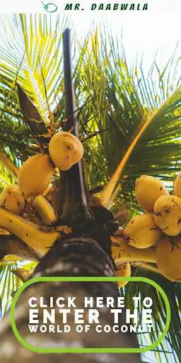 Play Mr.Daabwala and enjoy Mr.Daabwala with UptoPlay Play Mr.Daabwala and enjoy Mr.Daabwala with UptoPlay