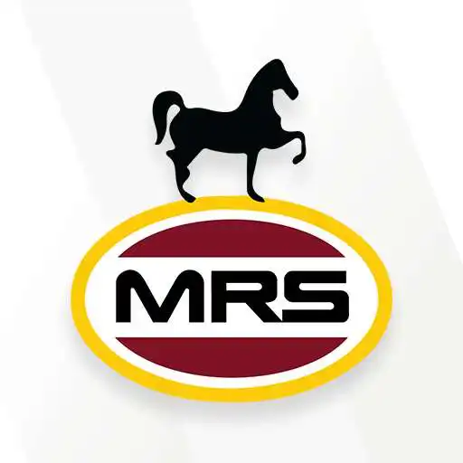Play MRS eShop APK
