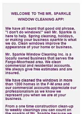 Play Mr Sparkle Window Cleaning