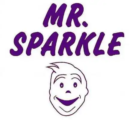 Play Mr Sparkle Window Cleaning