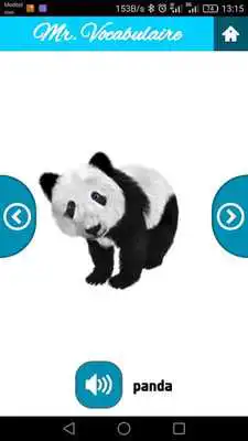 Play Mr. Vocabulary: French words