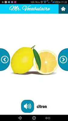 Play Mr. Vocabulary: French words