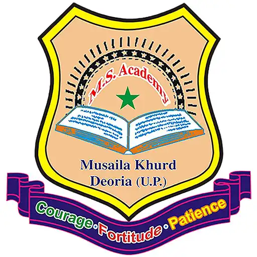 Play MS Academy School APK