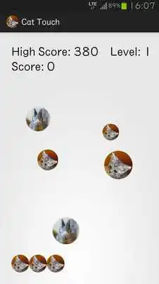 Play MSAIC Grid