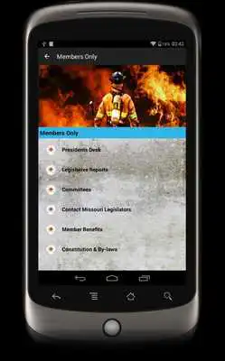 Play MSCFF Play MSCFF