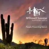 Free play online MSC Steward App APK