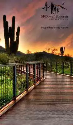 Play MSC Steward App