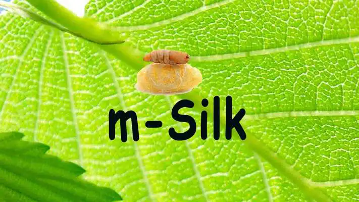 Play m-Silk