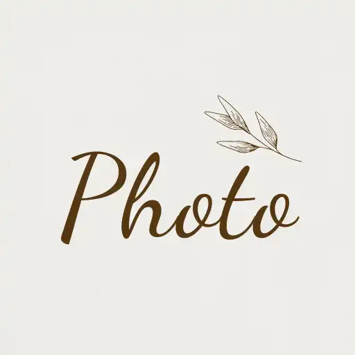 Play MS Photo APK