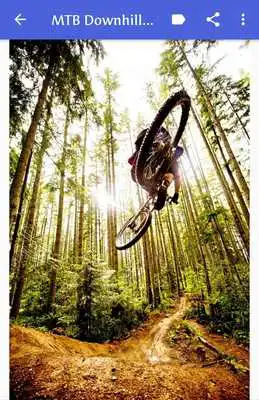 Play MTB Downhill Wallpaper