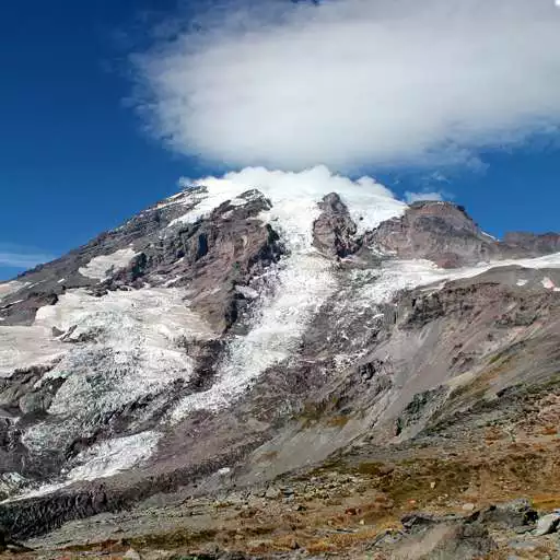 Play Mt Rainier Wildflowers APK Play Mt Rainier Wildflowers APK