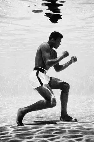 Play Muhammad Ali wallpaper and enjoy Muhammad Ali wallpaper with UptoPlay Play Muhammad Ali wallpaper and enjoy Muhammad Ali wallpaper with UptoPlay
